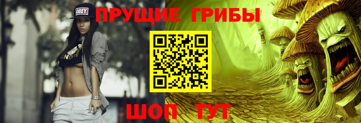 Псилоцибиновые грибы Psilocybe  Псилоцибиновые грибы GOLDEN TEACHER  Вход с VPN  Волоколамск 